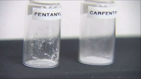 DEA Deadly drugs being purchased online, shipped to US